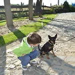 Autoscsarda Es Panzio 2* Makó