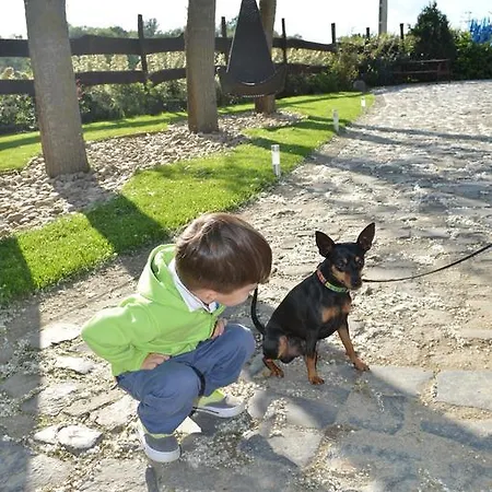 Autóscsárda és Panzió 2* Makó